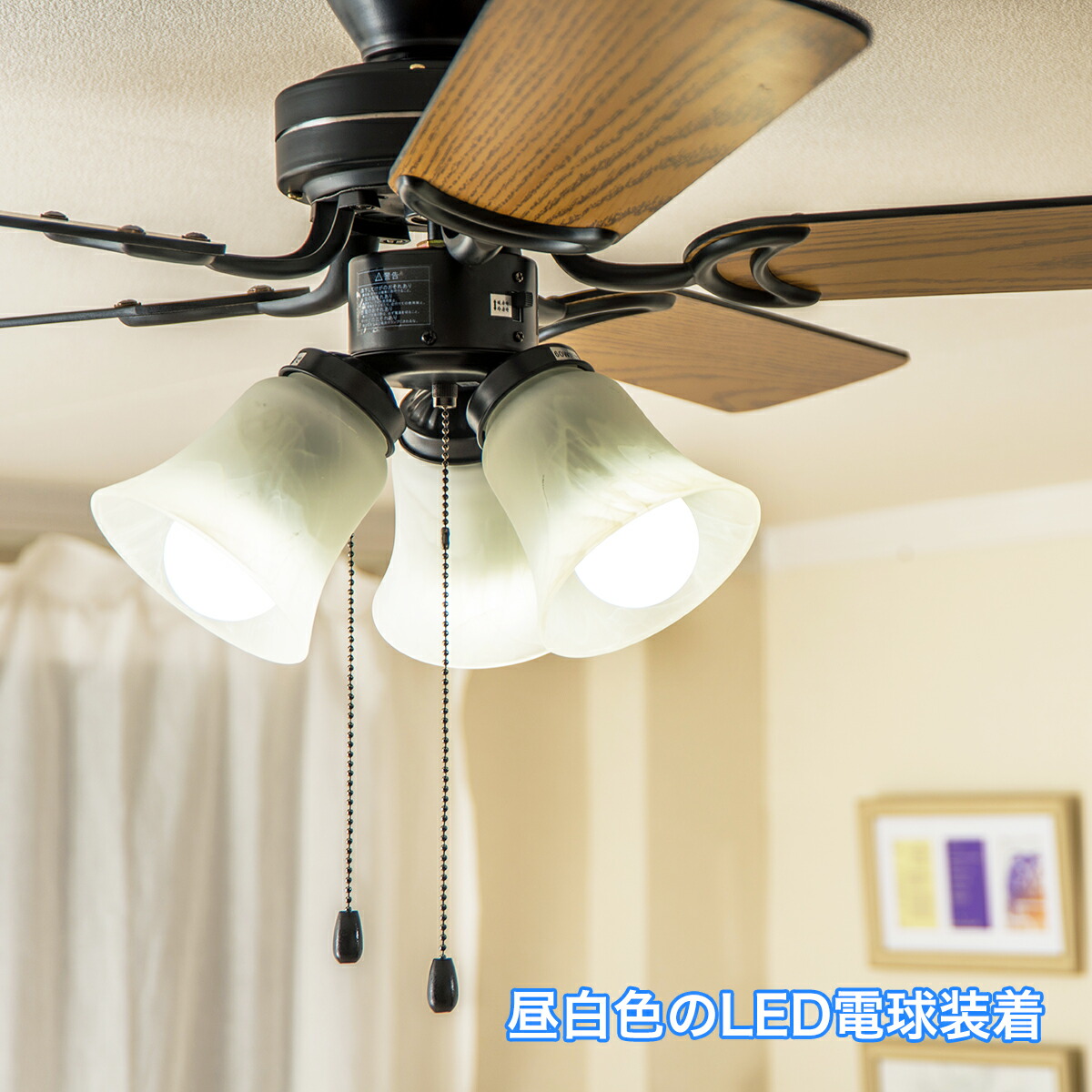 楽天市場】シーリングファンライト 5枚羽根 リバーシブル 黒ボディ