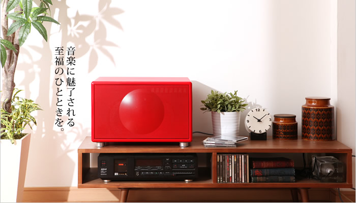 インテリアショップ roomy geneva l