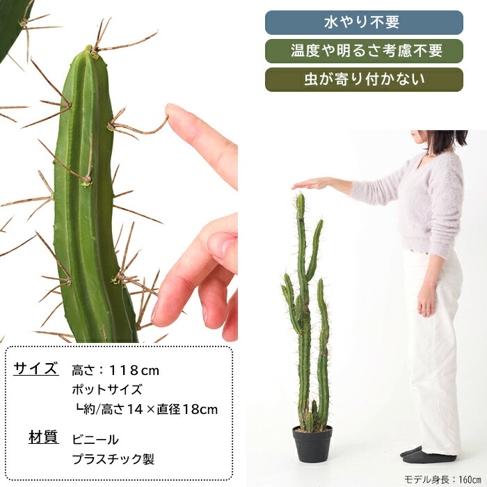 楽天市場】[ポイント10倍×本日18時から クーポンもあり] フェイク