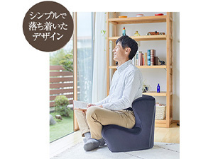 姿勢サポートチェア 「Style Dr.CHAIR Plus（スタイルドクターチェア