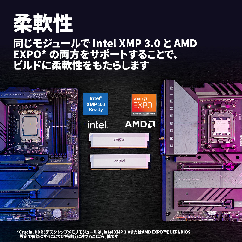 Crucial CP2K16G60C36U5W [DDR5 PC5-48000 16GB 2枚組] ［DIMM DDR5