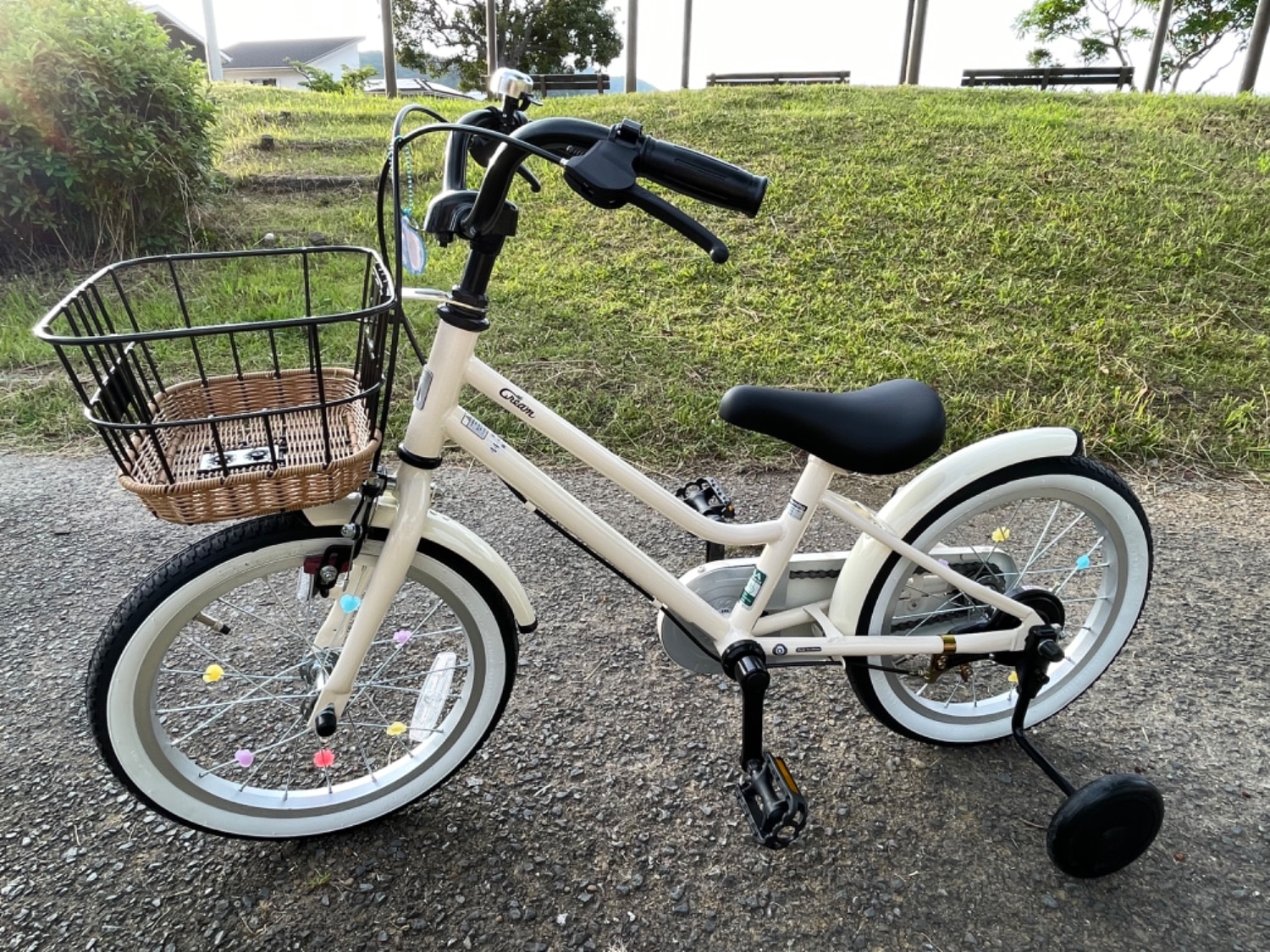 楽天市場】5日最大2500円OFFクーポンあり【2/2〜3/11限定 全品P3倍