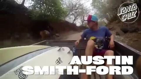 楽天市場】SANTACRUZ サーフボード PUMPKIN LIMITED 5.4/5.6/5.8