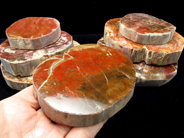 レッドタイプ 珪化木 ペトリファイドウッド プレート 置物 重さ170g