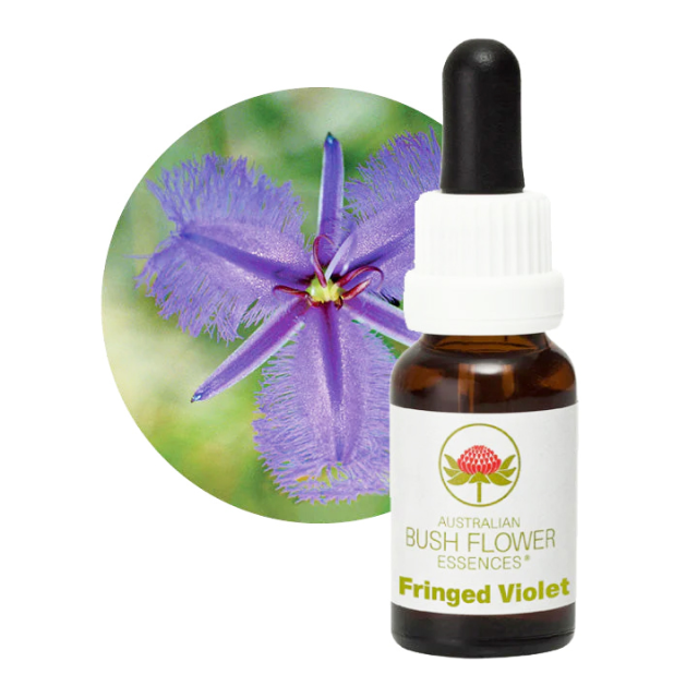 フリンジドヴァイオレット オーストラリアンブッシュフラワー シングル