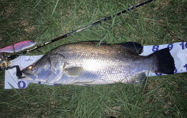 ツララ マッソ77XH （TULALA Masso77XH）【シーバスルアー専門店