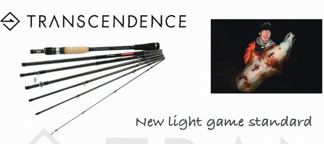 トランスセンデンス バトゥータ80S+ (TRANSCENDENCE Batuta80S+)