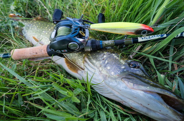 ジェットスロー ジェットセッター86C DS [2024 Mid] 【シーバスルアー