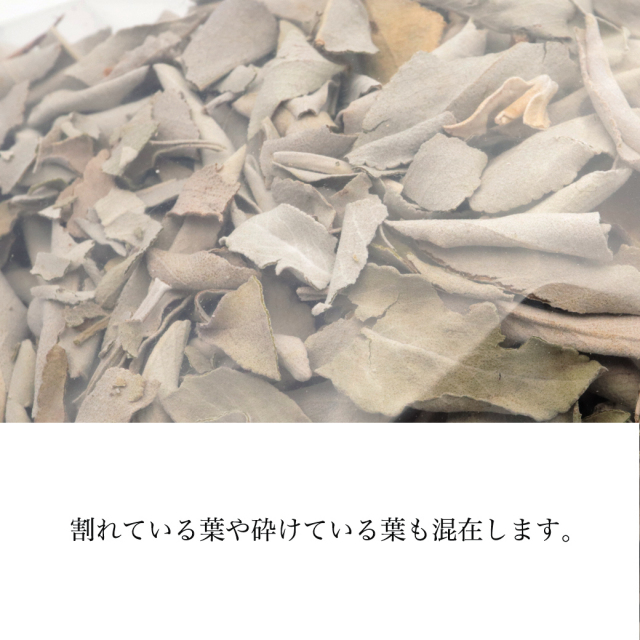 ホワイトセージ 1kg 大容量 無選別 枝付き クラッシュ 無農薬 高品質