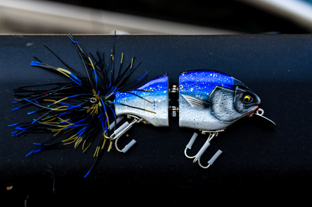 バディアンドドッグス ドックベイト アバロンヘッズ バディアンド