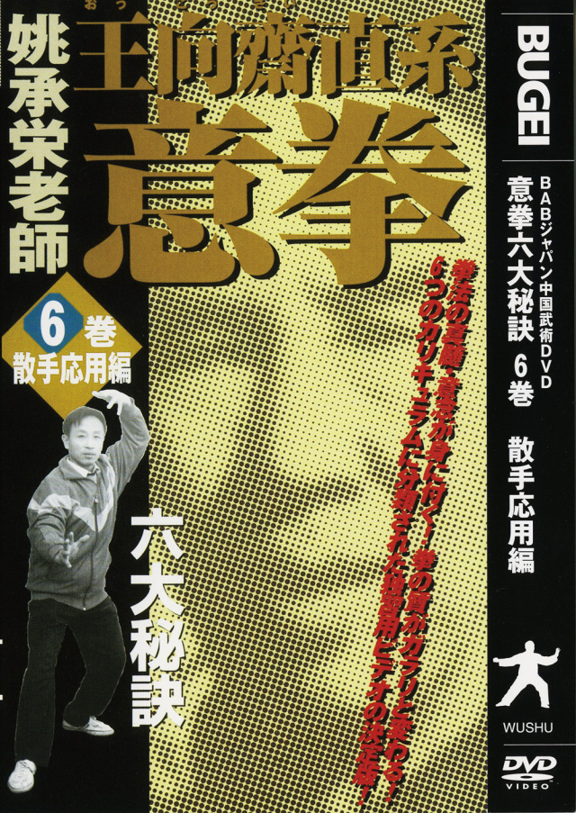 DVD 意拳 六大秘訣 第6巻