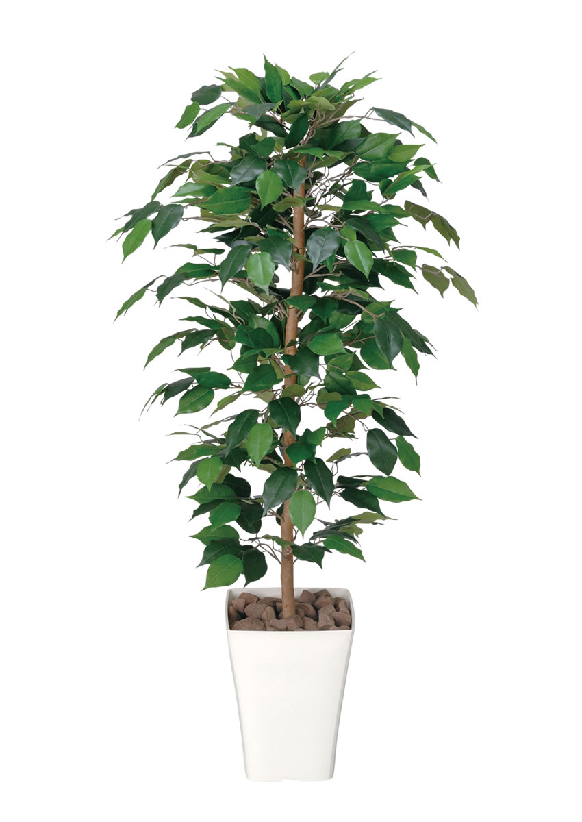 光触媒 光の楽園 フィカスベンジャミン 1.2m【インテリア フェイク