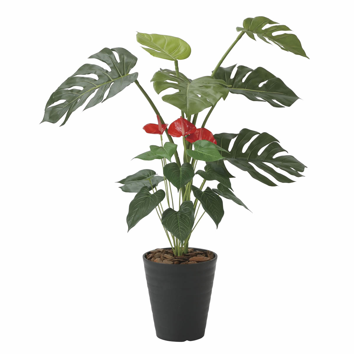 光触媒 光の楽園 モンステラ&アンスリューム 95【インテリア フェイク