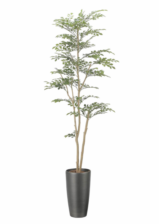 光触媒 光の楽園 ベンジャミンリアナ 1.8m【インテリア フェイク