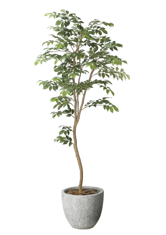 光触媒 光の楽園 ナチュラルウンベラータ1.9（組立式）【インテリア