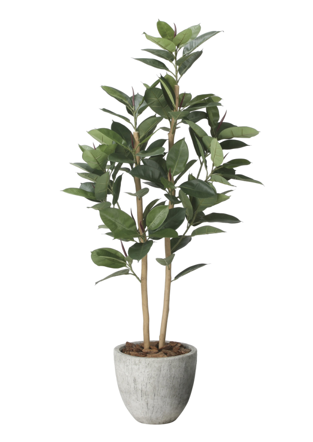 光触媒 光の楽園 カポック 1.8m【インテリア フェイクグリーン 人工