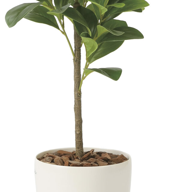 光触媒 光の楽園 フレッシュマネーツリー 90【インテリア フェイク