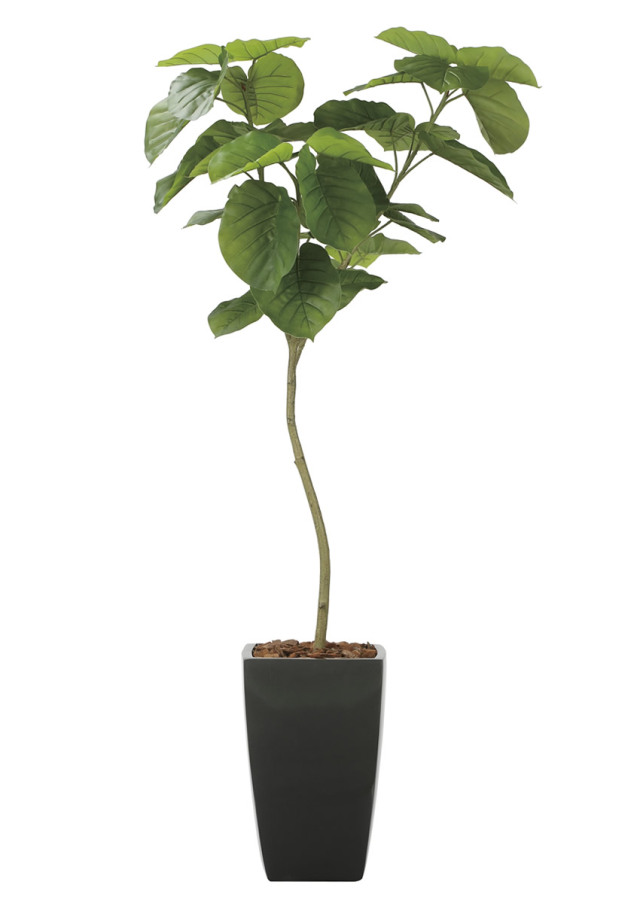 光触媒 人工観葉植物 ウンベラータ【光の楽園】