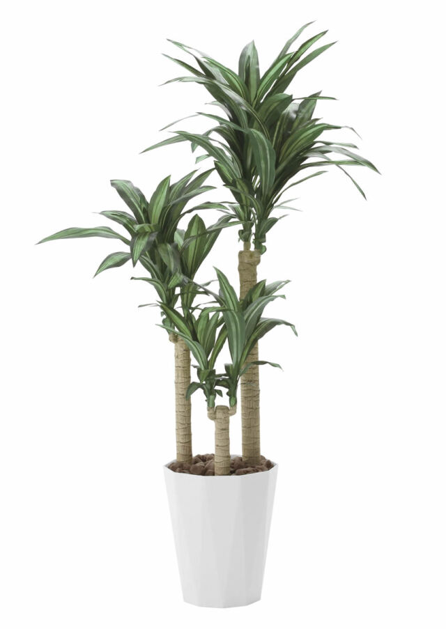 光触媒 光の楽園 ツイストアルテシマ2.1m(組立式)【インテリア