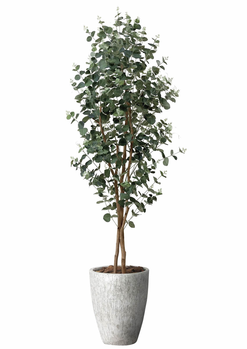 光触媒 光の楽園 ナチュラルユーカリ1.8m【インテリア フェイク