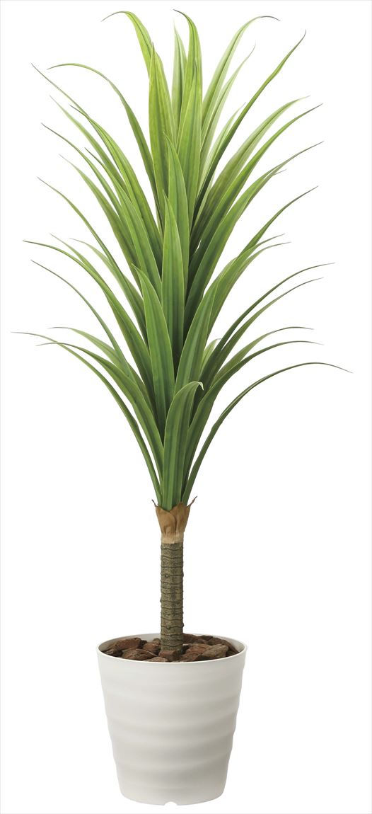 光触媒 光の楽園 ドラセナ 高さ 1.8m 【インテリア フェイクグリーン