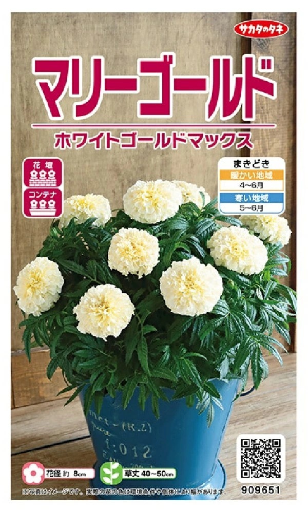 花種子 マリーゴールド ホワイトゴールド マックス サカタのタネ