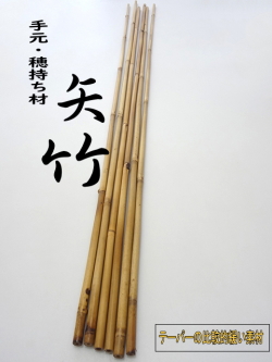 自作釣竿製作用矢竹素材｜穂持ち・手元用・穂先下に適したテーパーの