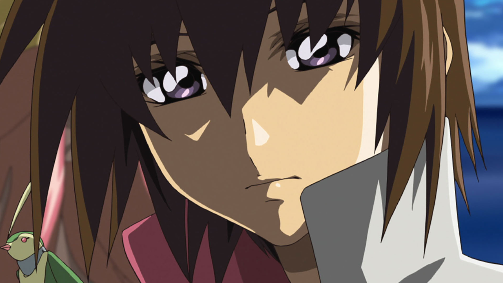 機動戦士ガンダムSEED DESTINY HDリマスター 50.FINAL PHASE| バンダイ