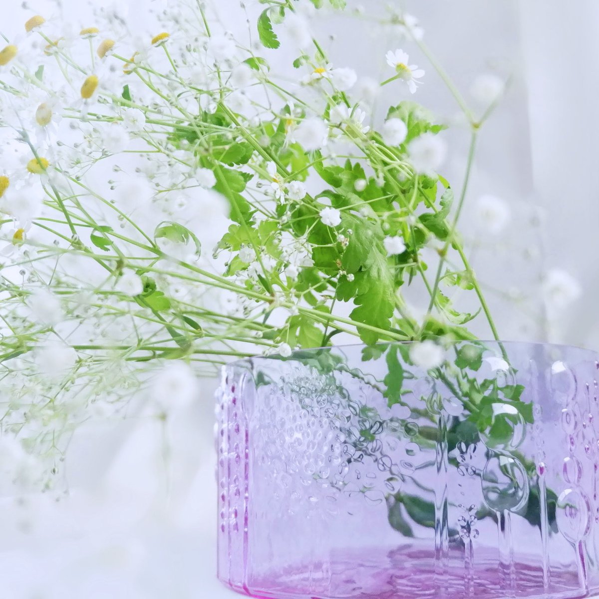 nuutajarvi / FLORA（ ヌータヤルヴィ/フローラ） ボウル 19cm アメジ