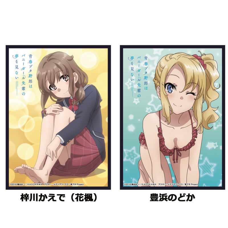 クロックワークス スリーブコレクションVol.30 青春ブタ野郎はバニー