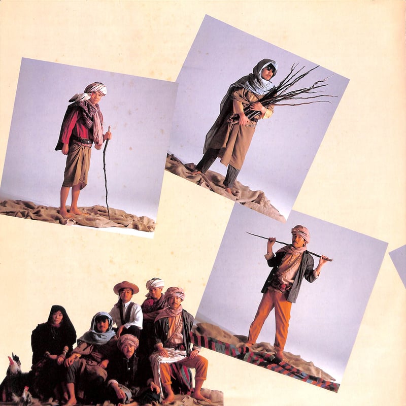 サザンオールスターズ / 人気者で行こう [※国内盤,品番:VIH-28179］(LP