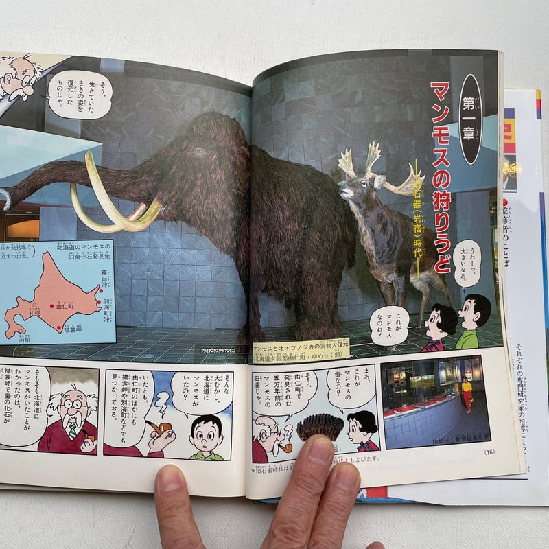 小学館版学習まんが 少年少女 日本の歴史 | 古書まどそら堂