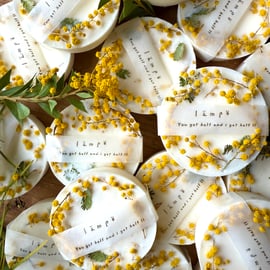 ミモザとユーカリ(2026年2月末-3月発送予定) 2026年！春先取り ふわふわミモザとユーカリのスワッグ スワッグ 絵