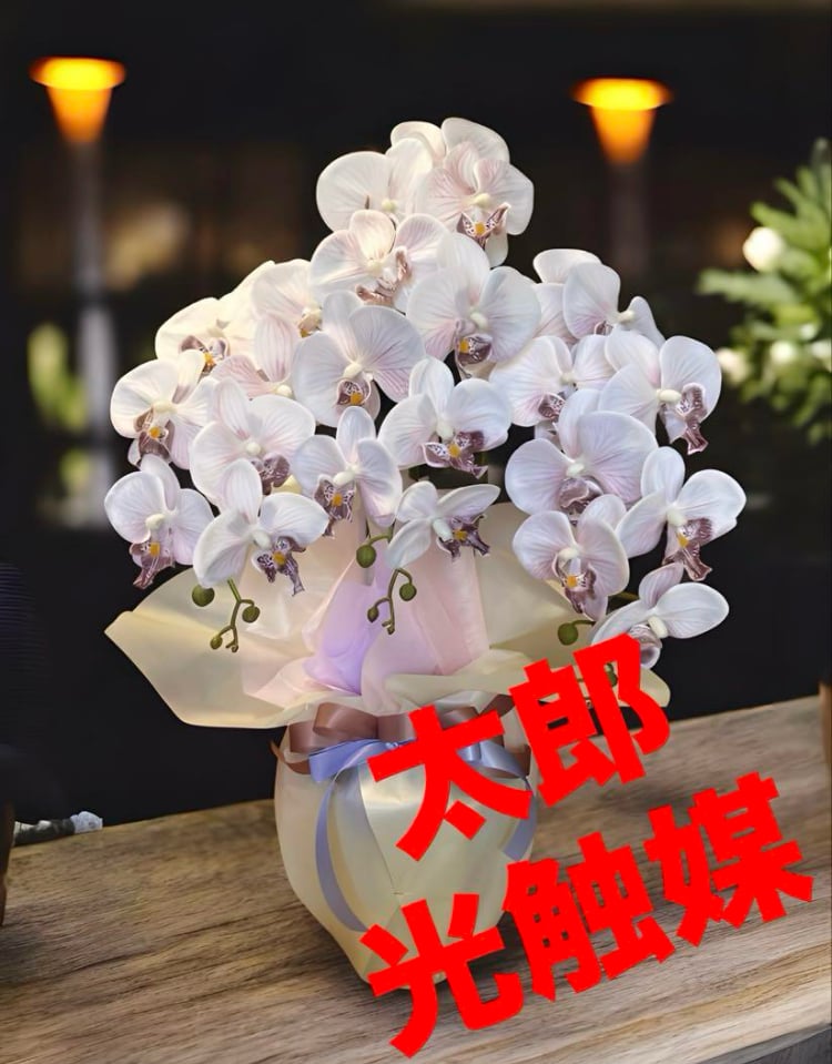 光触媒 人工観葉植物 ウォールグリーン フェイクグリーン 胡蝶蘭7547