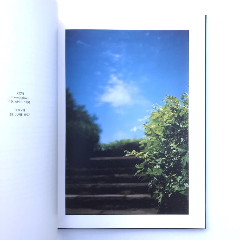 2000部限定写真集Terri Weifenbach Hunter Green