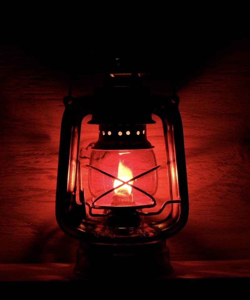 FROWO No. 50 50's〜 | 森の古物店 野屋