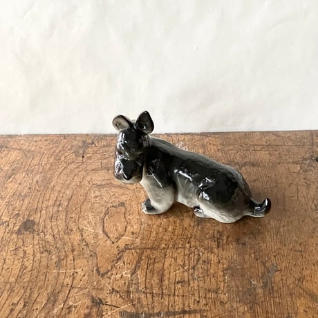 スコティッシュテリア | STORES