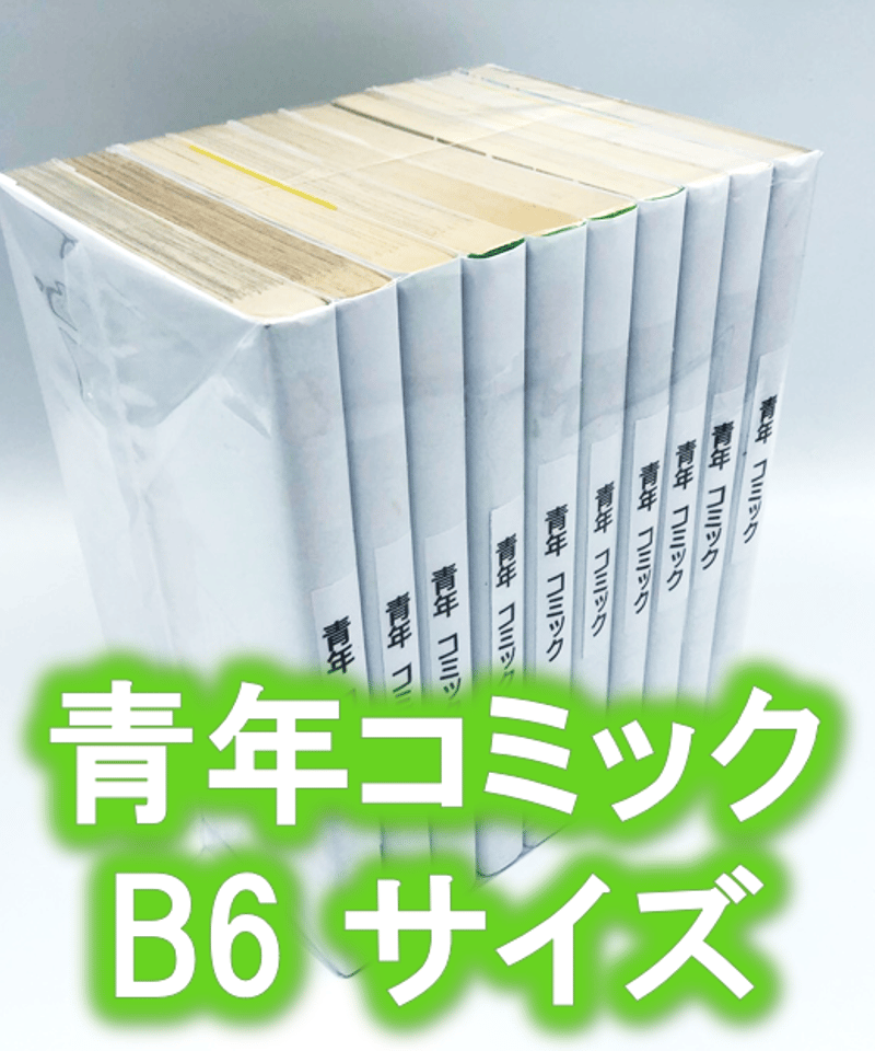 100枚入り】青年コミック(B6)サイズ約10冊用☆スプラータ☆セット本