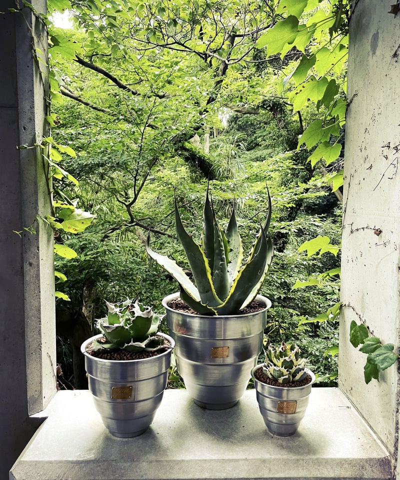 CATEGORY PLANT POT | MASSES OFFICIAL ONLINE STORE