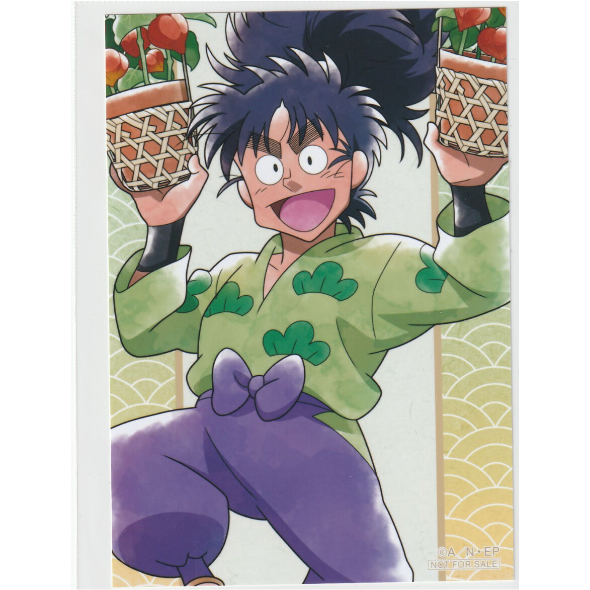 忍たま ぱしゃこれ 七松小平太41枚セット 【公式通販】