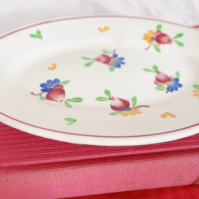 ジアン GIEN ラヴィエ 『VAL DE LOIRE』フランスアンティーク食器