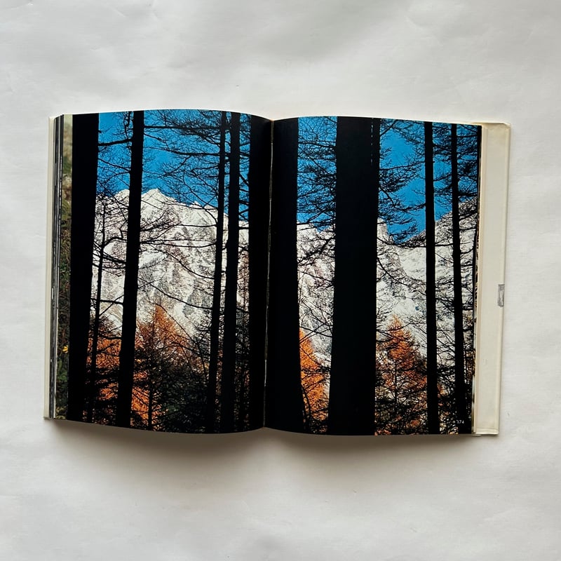 山の意匠 田淵行男写真集 | 本まるさんかくしかく