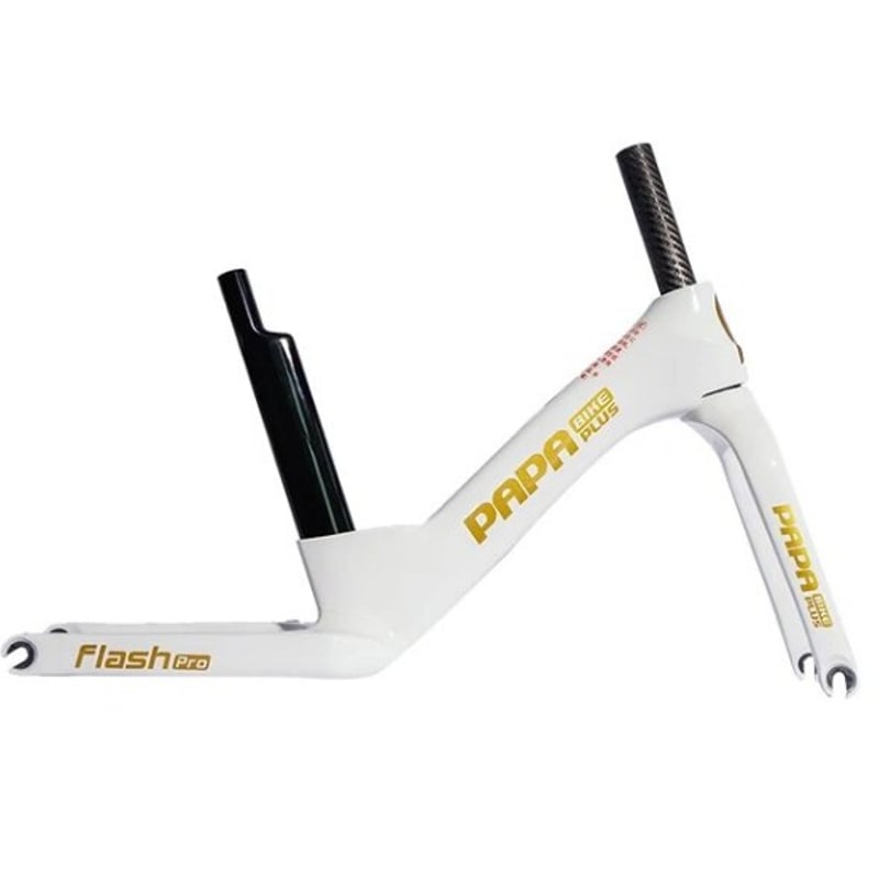 FLASH PRO | PAPABIKE JAPAN