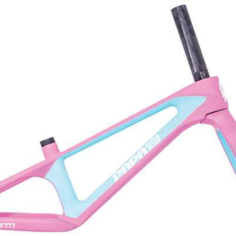 MINI STORM | PAPABIKE JAPAN