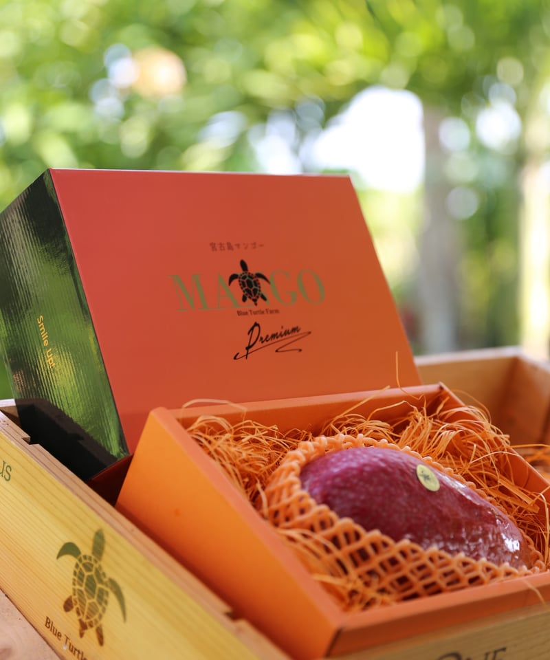 宮古島産「幻の幻・玉文Gyokubunマンゴー」1大玉 限定品 | Blue Turtle