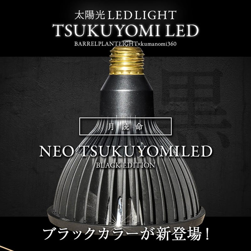 NEO TSUKUYOMI LED 20W BLACK EDITION | STELLA.PL