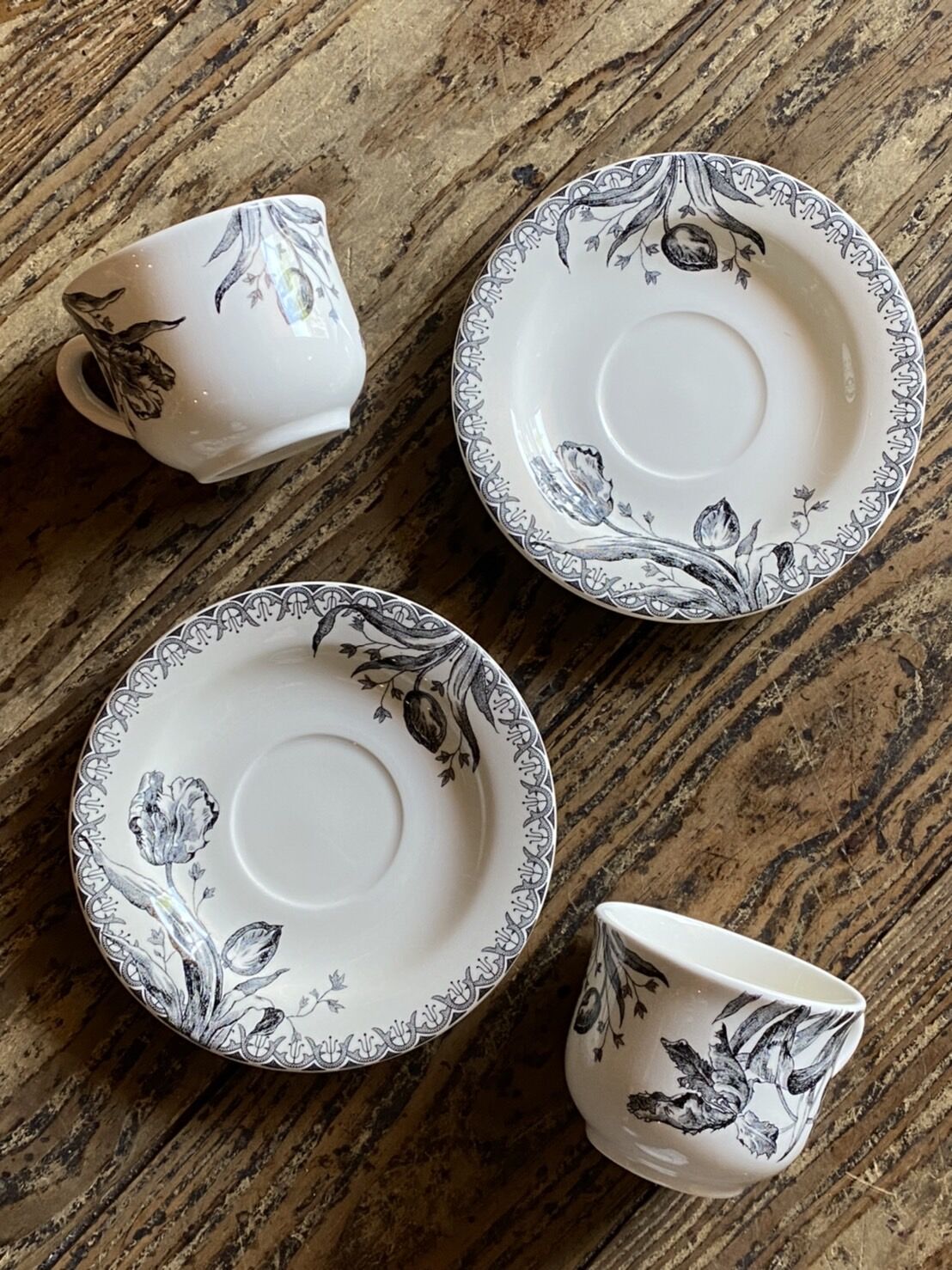 Gien tulipes noires ジアン チューリップ ノワール5枚セット