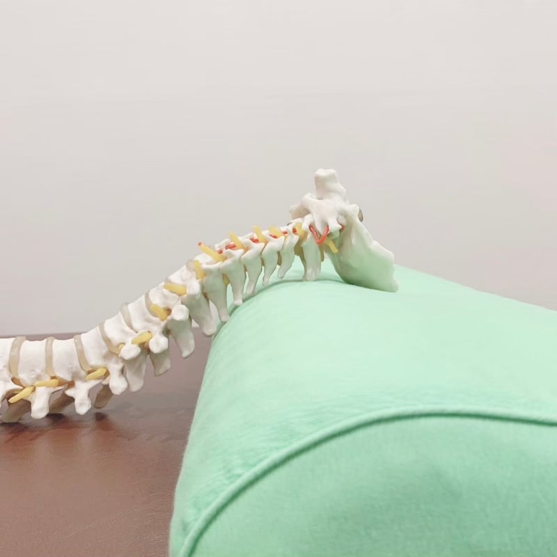 すややか D.C.Version2（高さ：低め） | momoi's STORE