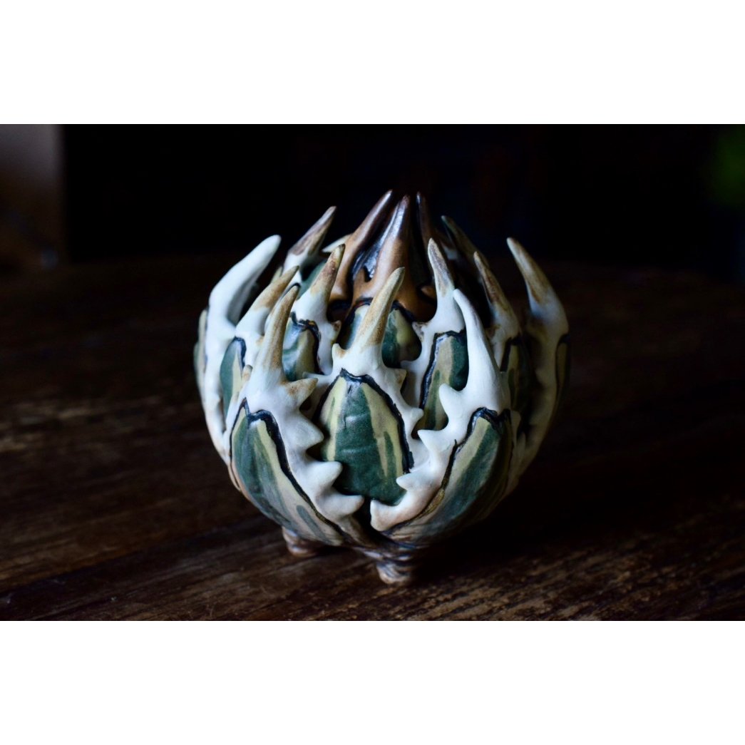 Yei Tao 大眼 Agave horrida 黎明 Hazel eyes | Willin