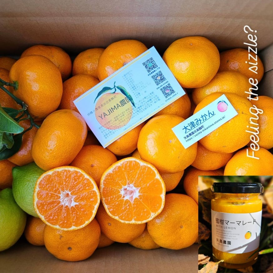 NEWS | 柑橘直送 YAJIMA農園